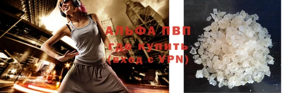дживик Майский