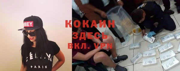 ГАЛЛЮЦИНОГЕННЫЕ ГРИБЫ Лихославль