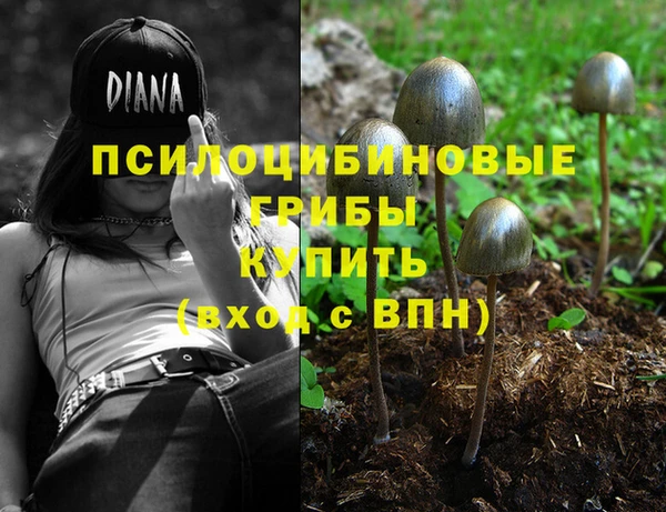 ГАЛЛЮЦИНОГЕННЫЕ ГРИБЫ Лихославль