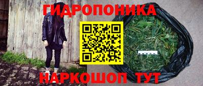 PSILOCYBIN Волжский