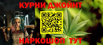 молекула духа Будённовск