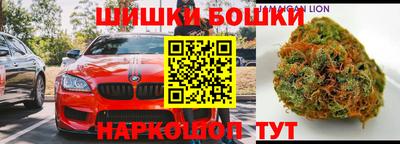молекула духа Будённовск