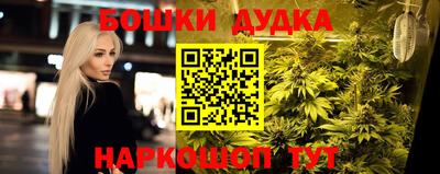 молекула духа Будённовск