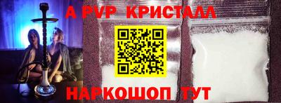 молекула духа Будённовск