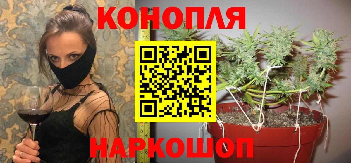 Бошки Шишки VHQ Камень-на-Оби